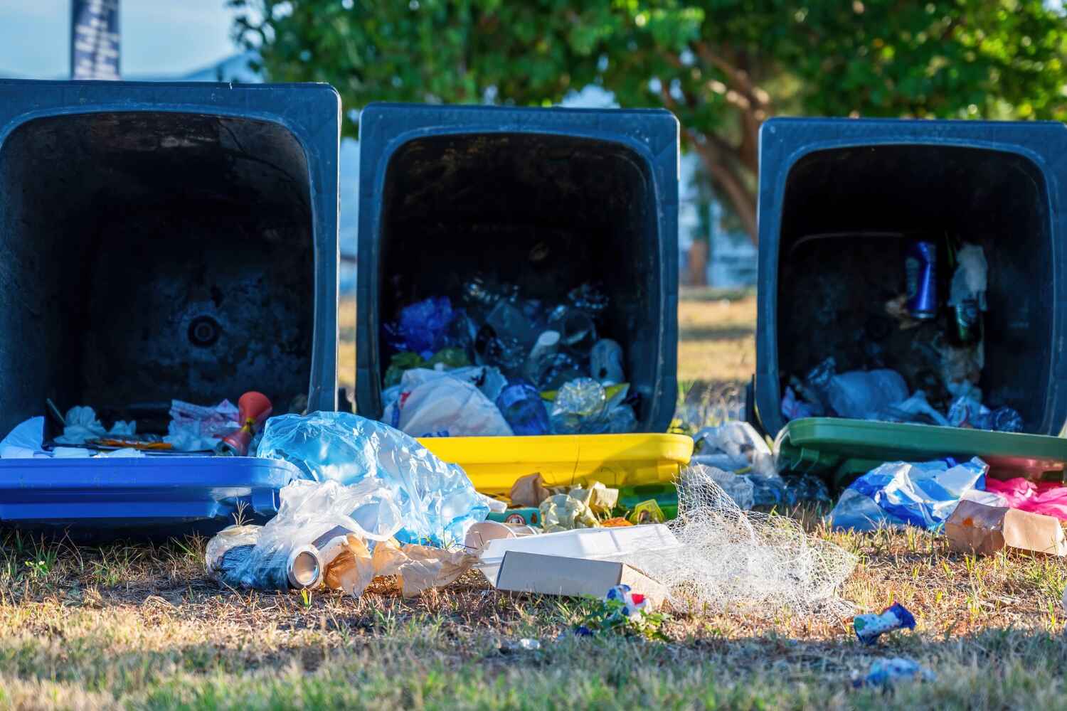 Poway, CA Junk Removal Company